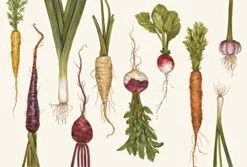 & Cook Paper Placemat, Pad Of 24 - Natural Farmer's Market