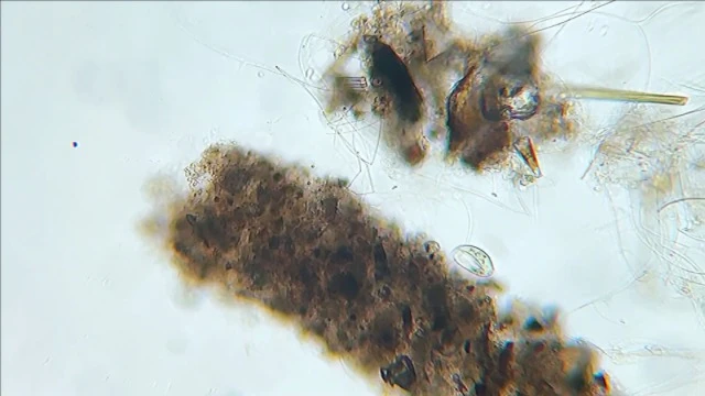 Nano | Water Filter Pitchers For Drinking Water | 10 Cup | 150 Gallon Filter | Gravity Water Filter | Removes Virus, Bacteria, Chlorine | Water Purifier (Navy Blue) - Image 5