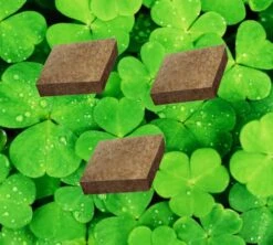 Clover Air Freshener Square 3 Pack For Aroma Beam & Fan Dispensers