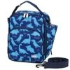 Lunch Boxes Bag For Kids, Insulated Lunchbox Reusable Containers For Boys With Detachable Shoulder Strap For School Blue Dinosaur