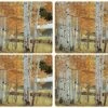Birch Beauty Collection Placemats | Set Of 4 | Heat Resistant Mats | Cork-Backed Board | Hard Placemat Set For Dining Table | Measures 15.7” X 11.7”