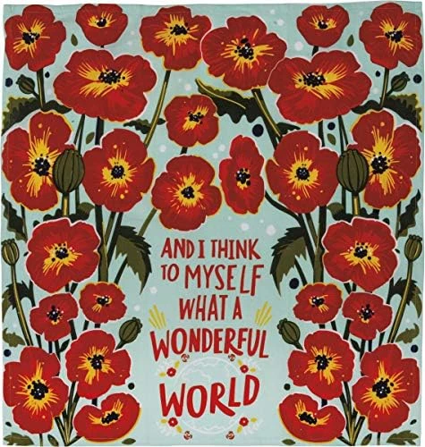 By Kathy 102726 LOL Made You Smile Dish Towel, 28 X 28-Inches, What A Wonderful World - Image 5